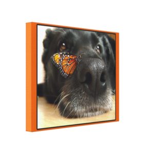BLack Lab Dog With Butterfly Canvas Print