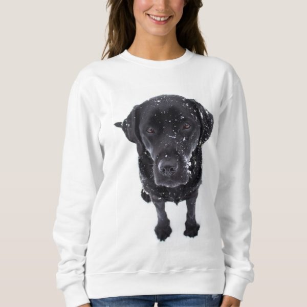 Black Lab - Labrador Snow Puppy Sweatshirt