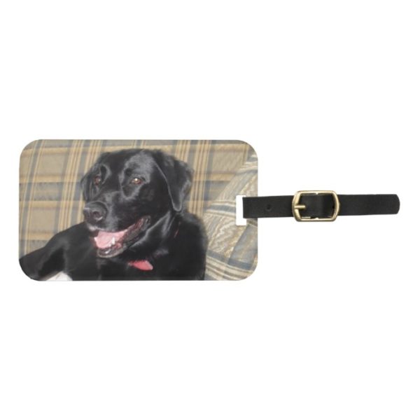 Black Labrador luggage tag with business card slot