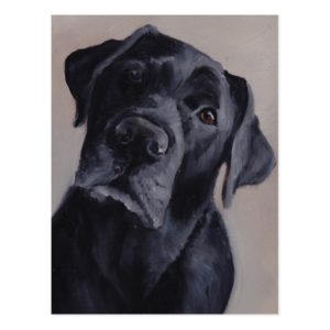 Black Labrador Retriever Dog Art Postcard