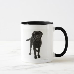 Black labrador retriever mug