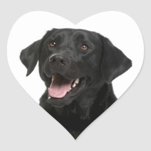 Black Labrador Retriever Puppy Dog Sticker