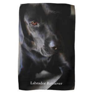 Black Labrador Retriever Towel
