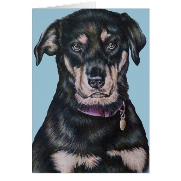 Black Rottweiler Dog Drawing Portrait