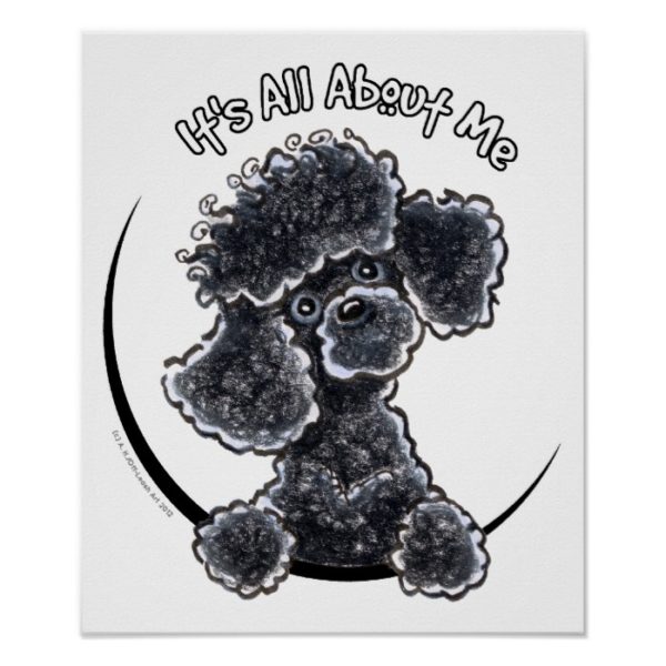 Black Toy Poodle IAAM Poster