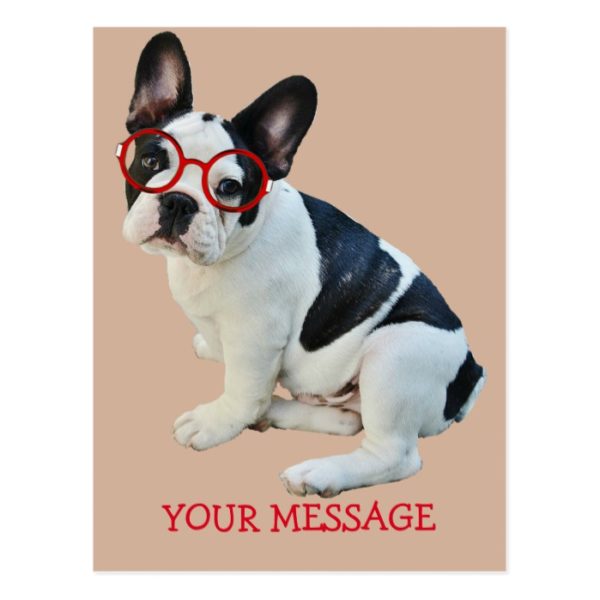 Black & White French Bulldog Wearing Red Glasses Postcard