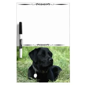 Blk Labrador Retriever Decorative Dry Erase Board