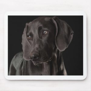 Blue the Weimaraner Mouse Pad