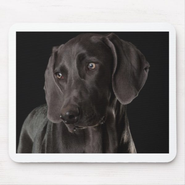 Blue the Weimaraner Mouse Pad
