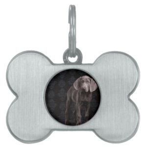 Blue the Weimaraner Puppy Pet Name Tag