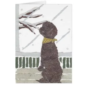 Brown Poodle, Chocolate Poodle