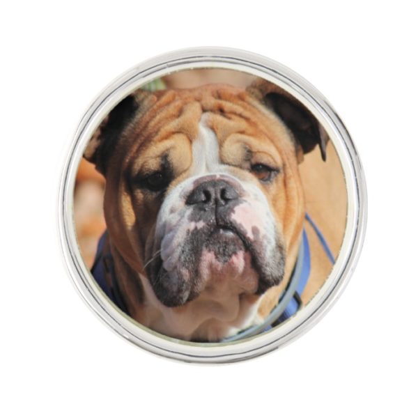 Buddy bulldog lapel pin