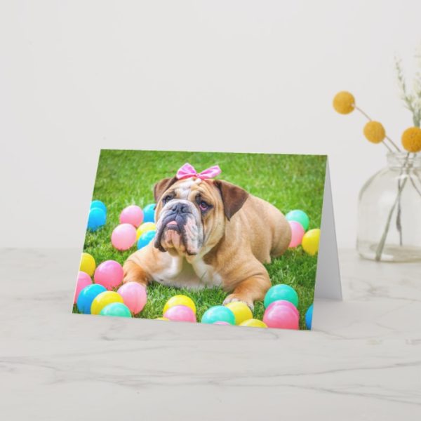 Bulldog funny Easter photo Holiday Card
