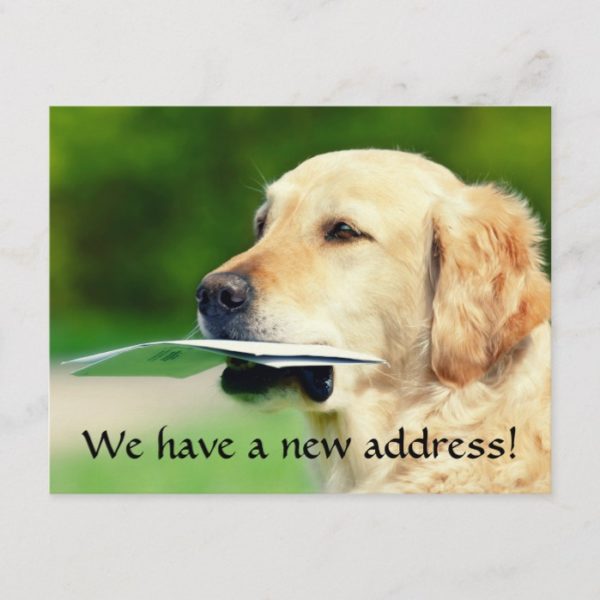 Change of address /  golden retriever dog photo announcement postcard