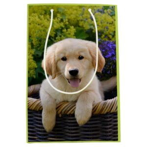Charming Goldie Retriever Dog Puppy Photo Portrait Medium Gift Bag