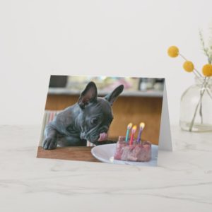 Chicken Birthday Greeting Card