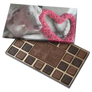 Chocolate for the Humans who Love Weimaraners