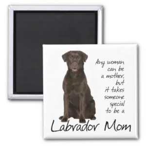 Chocolate Lab Mom Magnet