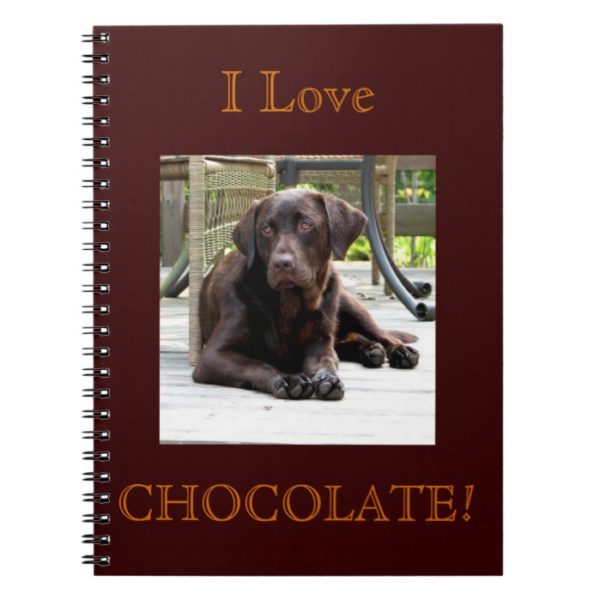 Chocolate Lab Notebook