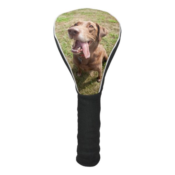 Chocolate Labrador Dog Golf Head Cover