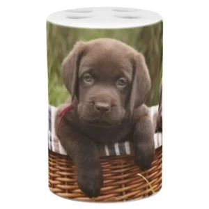Chocolate Labrador Puppy Bathroom Soap Set