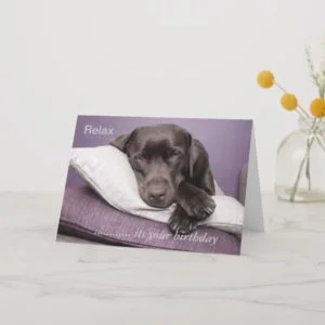 Chocolate labrador retriever custom birthday card