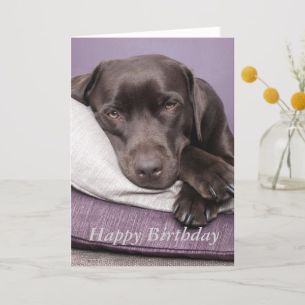 Chocolate labrador retriever custom birthday card