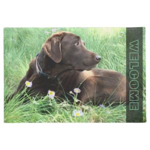 Chocolate Labrador Retriever Dog In Grass Flowers Doormat