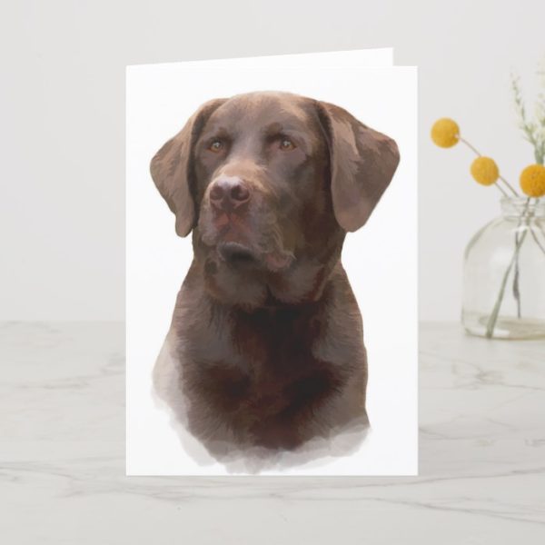 Chocolate Labrador Retriever Greeting Cards