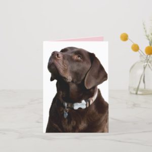 Chocolate Labrador Retriever Puppy Dog Note Card