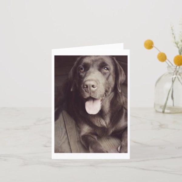Chocolate Labrador Retriever Puppy Dog Note Card
