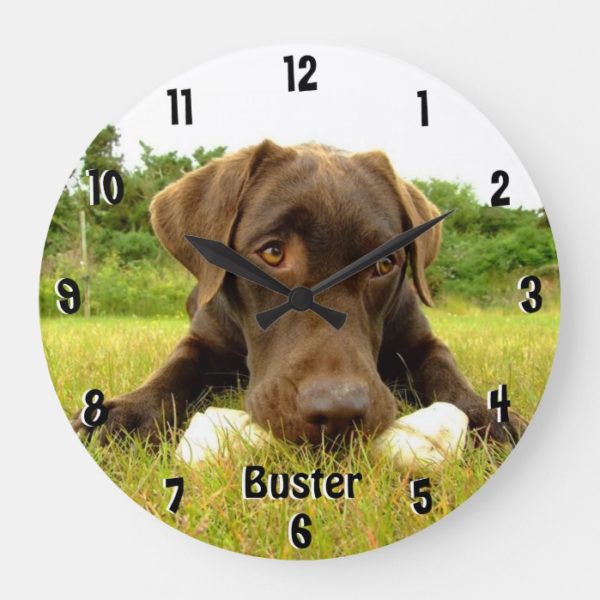Chocolate Labrador Retriever Wall Clock