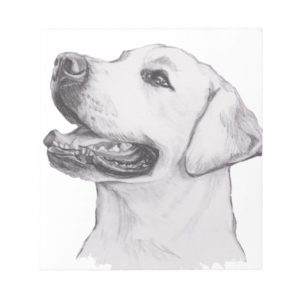 Classic Labrador Retriever Dog profile Drawing Notepad