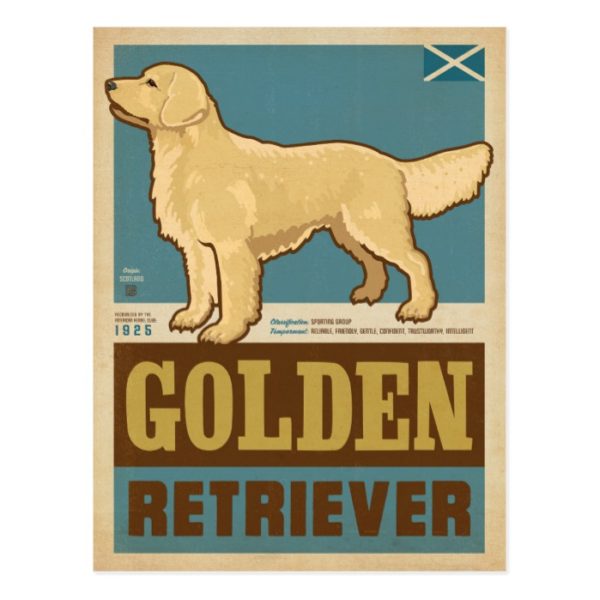 Classic Vintage Golden Retriever Postcard