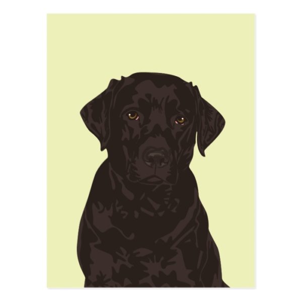 Cool Black Labrador Retriever Dog Postcard