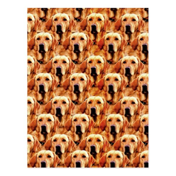 Cool Dog Art Doggie Golden Retriever Abstract Postcard
