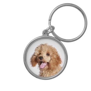 Custom Apricot Poodle Puppy Dog Love Key Chain
