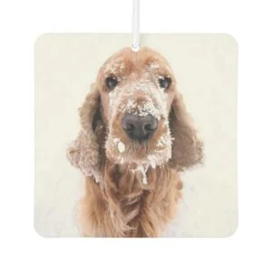 Custom Photo, Cute Dog Car Air Freshener