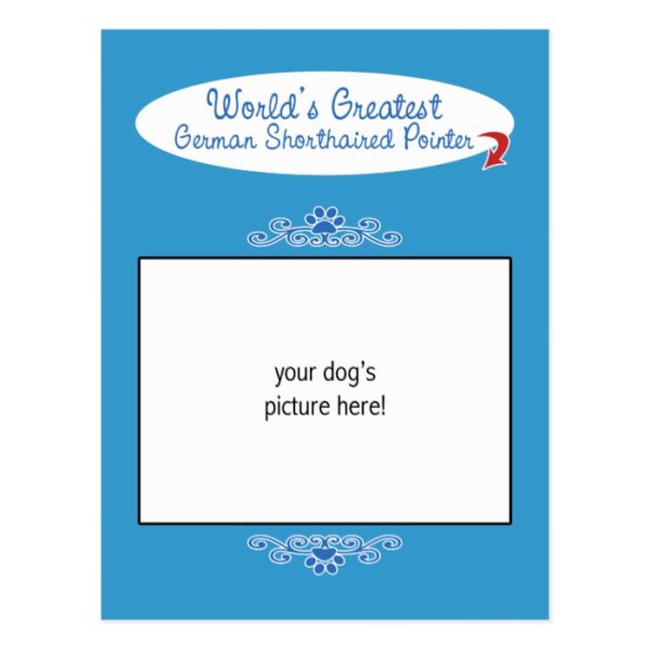 Custom Worlds Greatest German Shorthaired Pointer Postcard