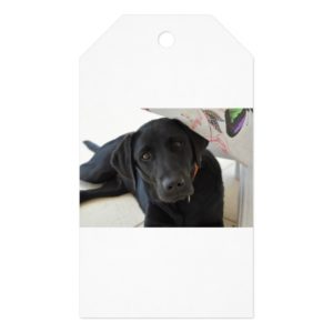Customizable Black Labrador Retriever Gift Tags
