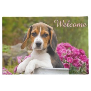 Cute Beagle Dog Puppy in Milk Churn  Entry Welcome Doormat