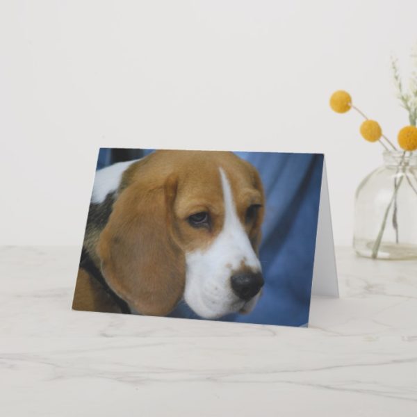 Cute Beagle  Greeting Cards