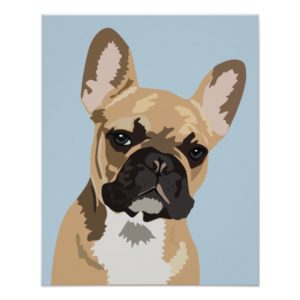 Cute Blue French Bulldog | Frenchie Poster