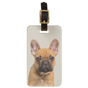 Cute French Bulldog Luggage Tag