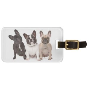 Cute French Bulldog Puppies Bag Tag
