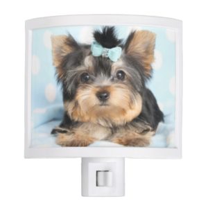 Cute little tea cup puppy dog night light