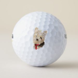Cute Little Watercolor Yorkie Yorkshire Terrier Golf Balls
