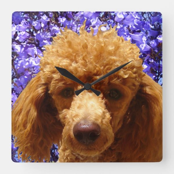 Cute Poodle Square Wall Clock