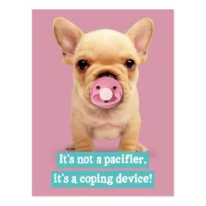 Cute Puppy with Pacifier Postcard