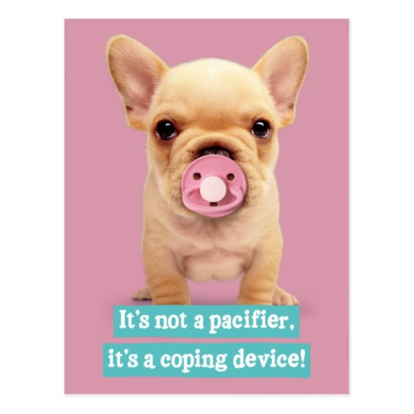 Cute Puppy with Pacifier Postcard